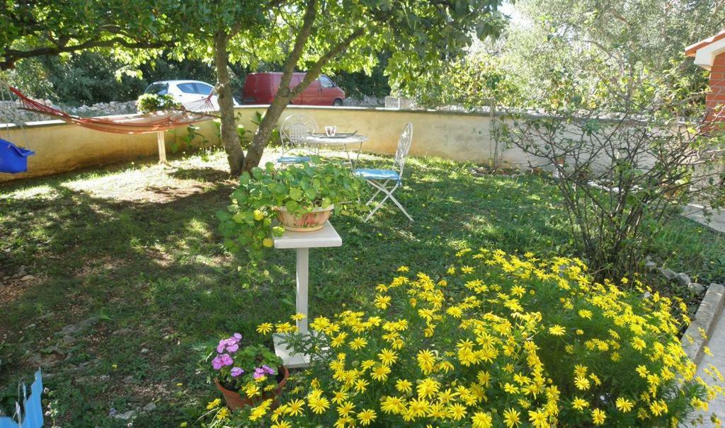 Apartmani Volga Petrcane Exterior foto